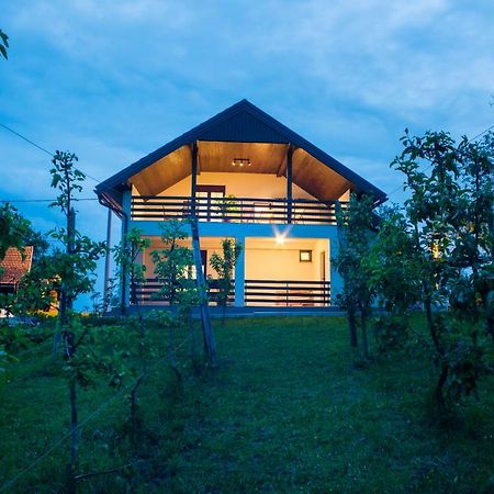 Holiday Home Dandelion With Hot Tub & Sauna Cetingrad ภายนอก รูปภาพ