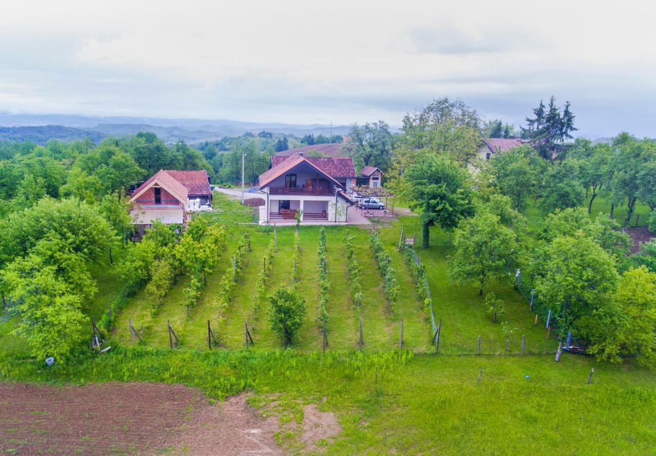 Holiday Home Dandelion With Hot Tub & Sauna Cetingrad ภายนอก รูปภาพ