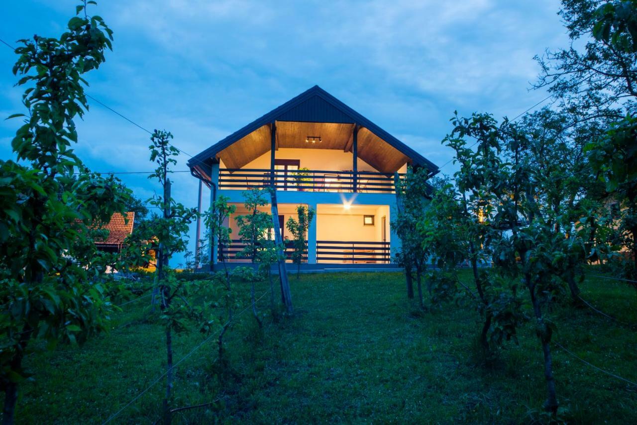 Holiday Home Dandelion With Hot Tub & Sauna Cetingrad ภายนอก รูปภาพ