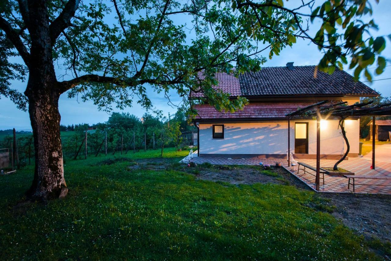 Holiday Home Dandelion With Hot Tub & Sauna Cetingrad ภายนอก รูปภาพ