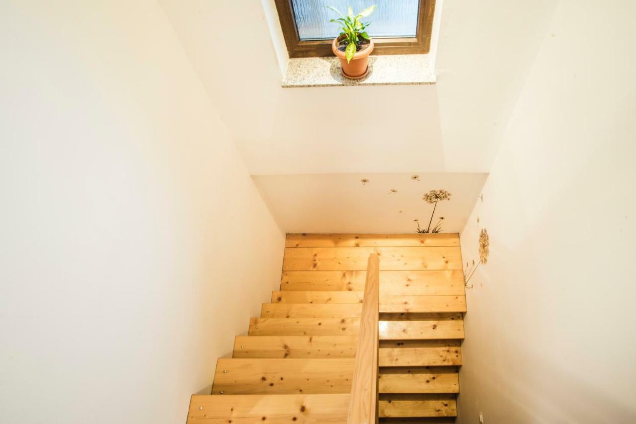 Holiday Home Dandelion With Hot Tub & Sauna Cetingrad ภายนอก รูปภาพ